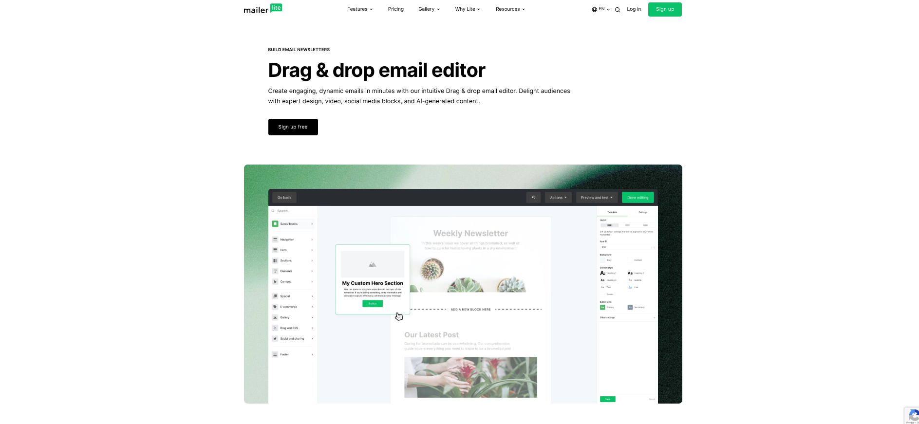 mailerlite emaileditor